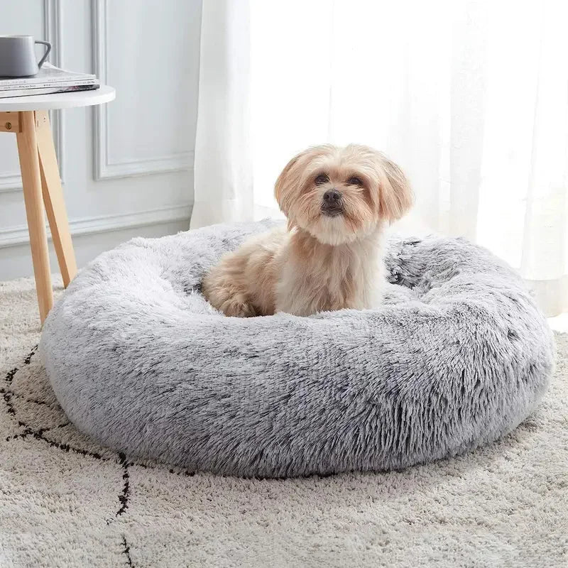 Cama de cachorro para cães, Almofada Cat Bed, Sofá-cama