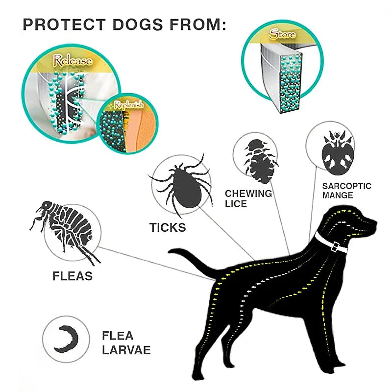 Coleiras antipulgas e carrapatos para cães