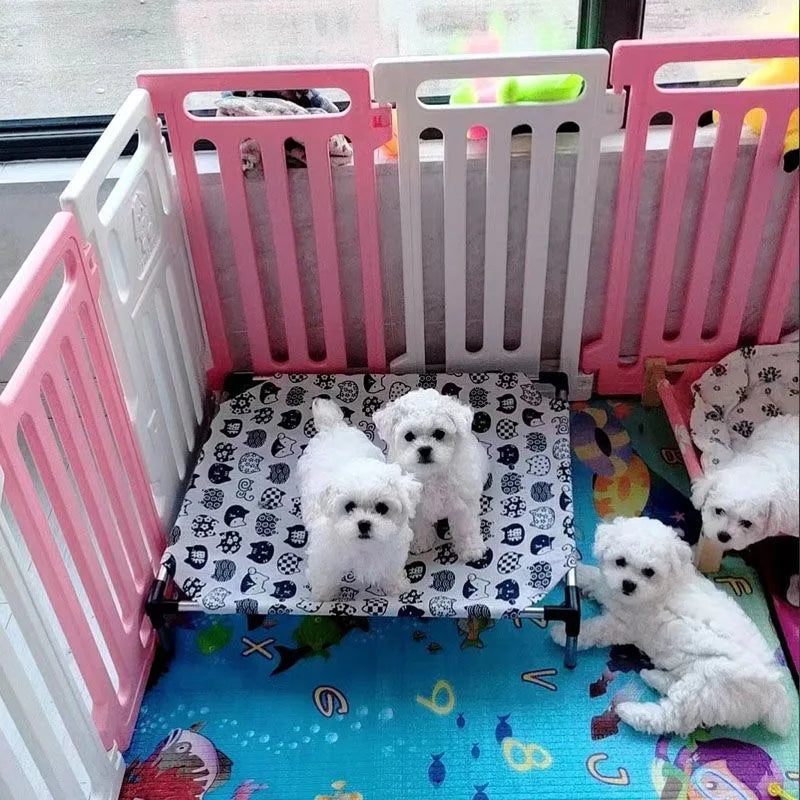 Cama Dobrável portátil elevada Pet, cão e gato casa